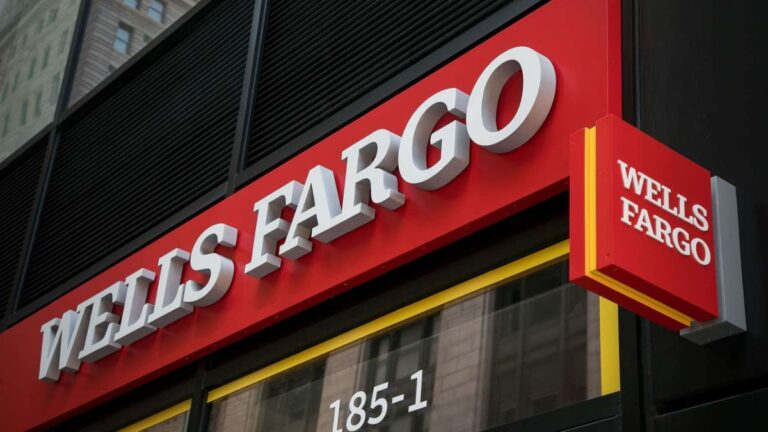 Reasons for Action Against Wells Fargo